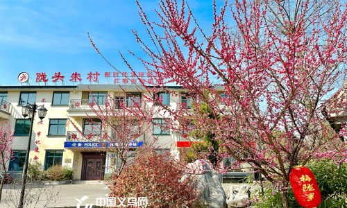 眉毛移植手术一般需要多少钱-眉毛移植效果网眉毛移植术价格表知识网站,分享眉毛移植效果怎么样大全