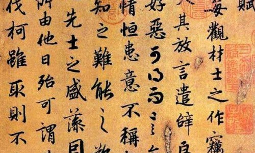 眉毛移植可以维持多久-眉毛移植效果网眉毛移植术价格表知识网站,分享眉毛移植效果怎么样大全