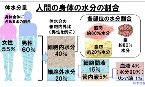 眉毛移植术价格表-眉毛移植效果网眉毛移植术价格表知识网站,分享眉毛移植效果怎么样大全
